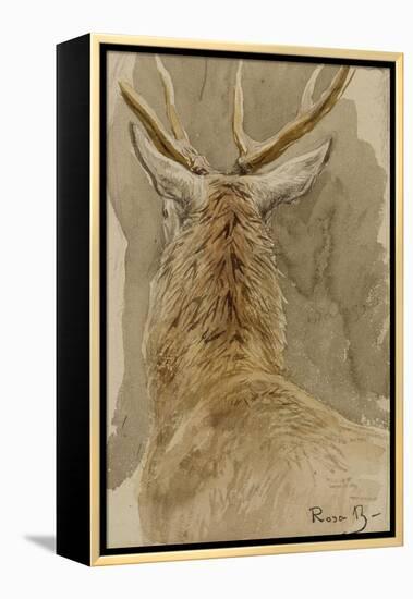 Etude de cerf-Rosa Bonheur-Framed Premier Image Canvas