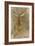 Etude de cerf-Rosa Bonheur-Framed Giclee Print