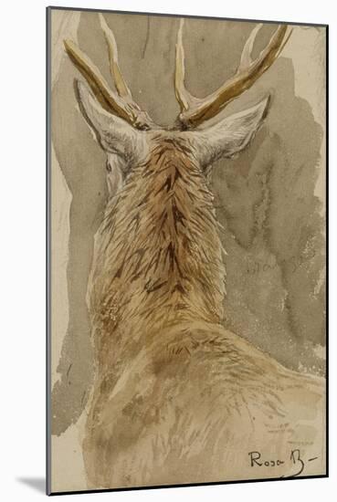 Etude de cerf-Rosa Bonheur-Mounted Giclee Print