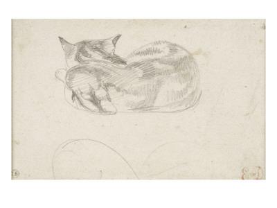 Etude De Chat Couche Vu De Dos Giclee Print Eugene Delacroix Art Com
