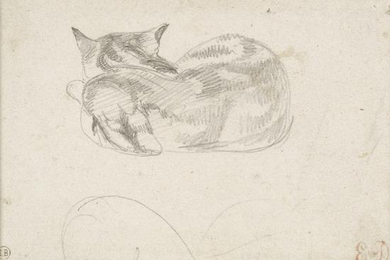 Etude De Chat Couche Vu De Dos Giclee Print Eugene Delacroix Art Com Etude De Chat Couche Vu De Dos Giclee Print Eugene Delacroix Art Com