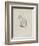 Etude de chat (Villiers)-Thomas Couture-Framed Giclee Print