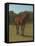 Etude de cheval bai cerise-Rosa Bonheur-Framed Premier Image Canvas