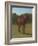 Etude de cheval bai cerise-Rosa Bonheur-Framed Giclee Print