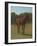 Etude de cheval bai cerise-Rosa Bonheur-Framed Giclee Print