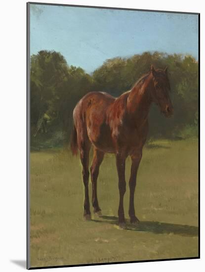Etude de cheval bai cerise-Rosa Bonheur-Mounted Giclee Print