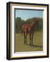 Etude de cheval bai cerise-Rosa Bonheur-Framed Giclee Print