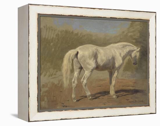 Etude de cheval blanc-Rosa Bonheur-Framed Premier Image Canvas