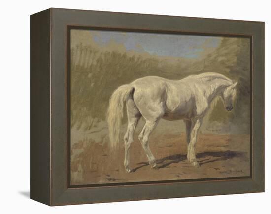 Etude de cheval blanc-Rosa Bonheur-Framed Premier Image Canvas