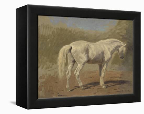 Etude de cheval blanc-Rosa Bonheur-Framed Premier Image Canvas