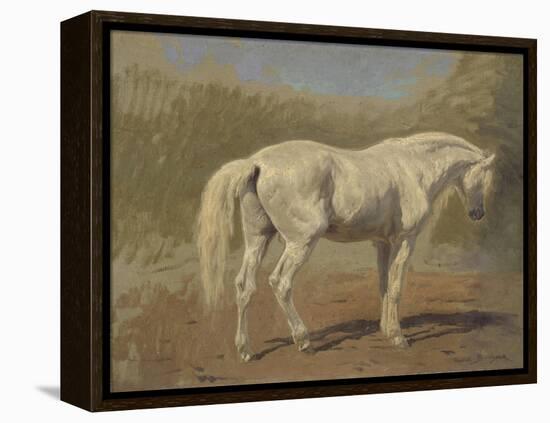 Etude de cheval blanc-Rosa Bonheur-Framed Premier Image Canvas