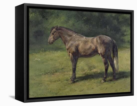 Etude de cheval gris au vert-Rosa Bonheur-Framed Premier Image Canvas
