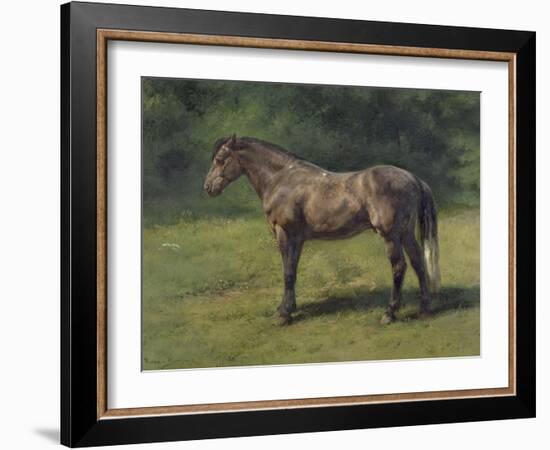 Etude de cheval gris au vert-Rosa Bonheur-Framed Giclee Print