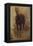 Etude de cheval pour le portrait équestre du comte Palikao-Paul Baudry-Framed Premier Image Canvas