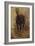 Etude de cheval pour le portrait équestre du comte Palikao-Paul Baudry-Framed Giclee Print