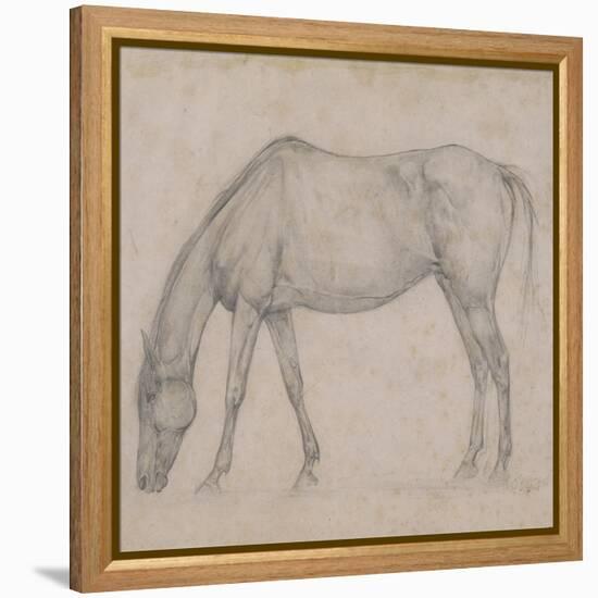 Etude de cheval-Edgar Degas-Framed Premier Image Canvas