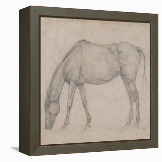 Etude de cheval-Edgar Degas-Framed Premier Image Canvas