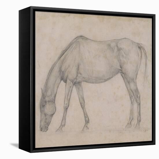 Etude de cheval-Edgar Degas-Framed Premier Image Canvas