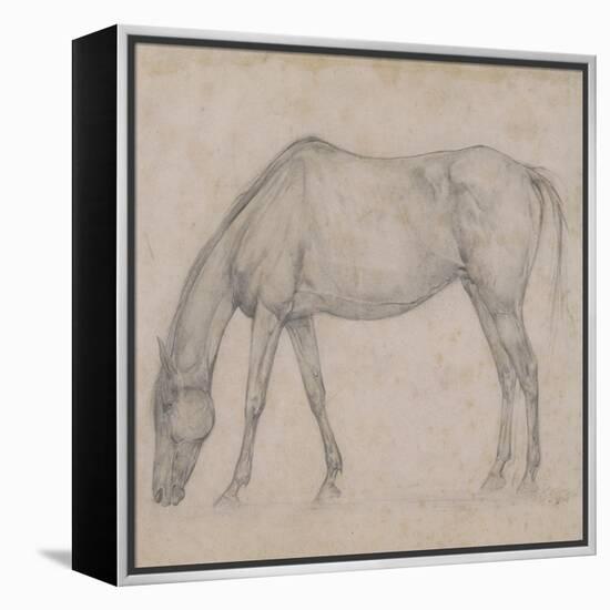 Etude de cheval-Edgar Degas-Framed Premier Image Canvas