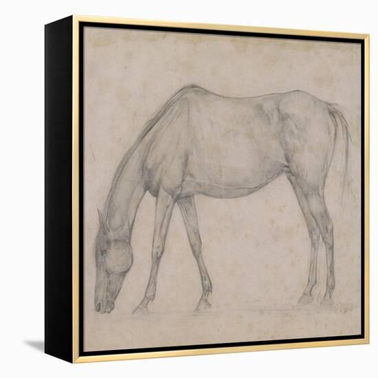 Etude de cheval-Edgar Degas-Framed Premier Image Canvas