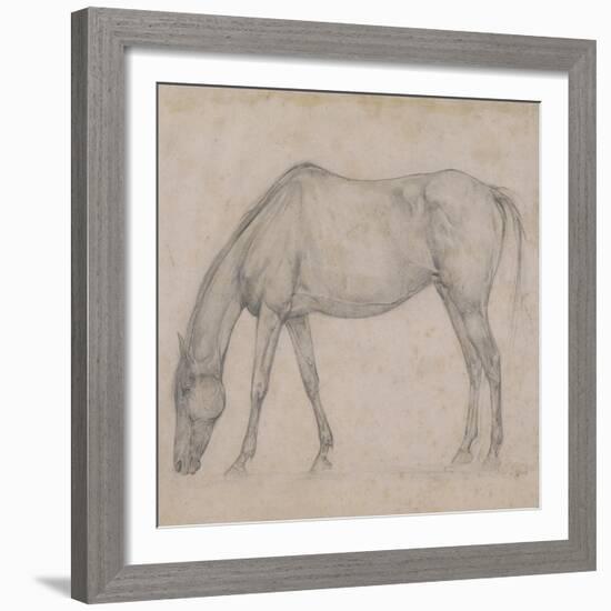 Etude de cheval-Edgar Degas-Framed Giclee Print