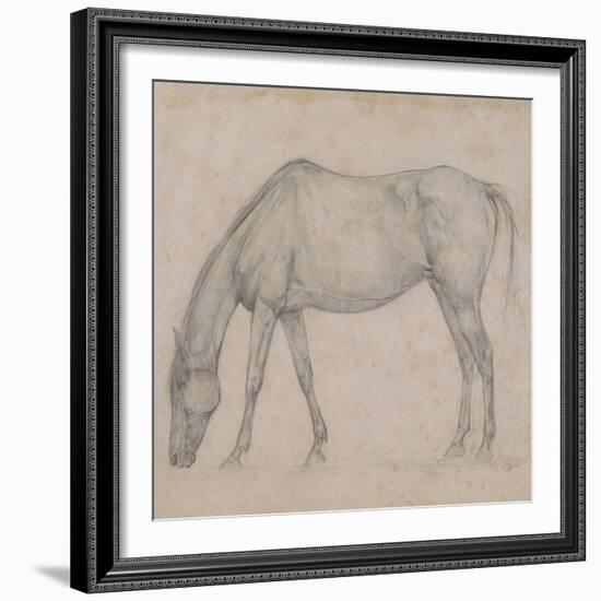 Etude de cheval-Edgar Degas-Framed Giclee Print