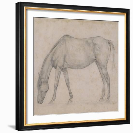 Etude de cheval-Edgar Degas-Framed Giclee Print