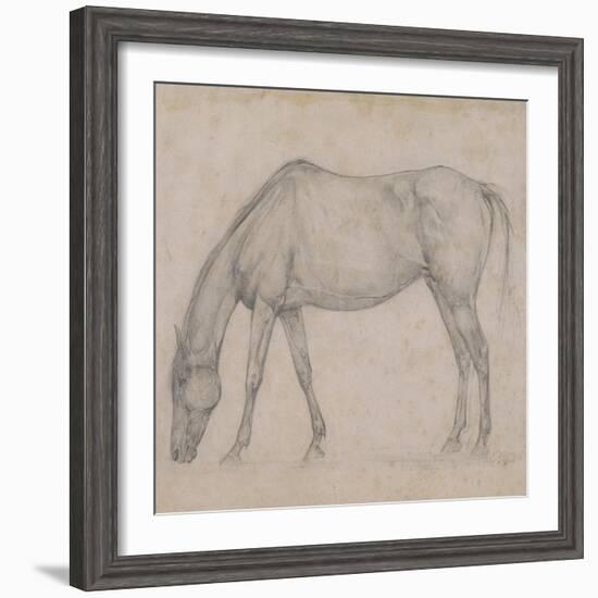 Etude de cheval-Edgar Degas-Framed Giclee Print