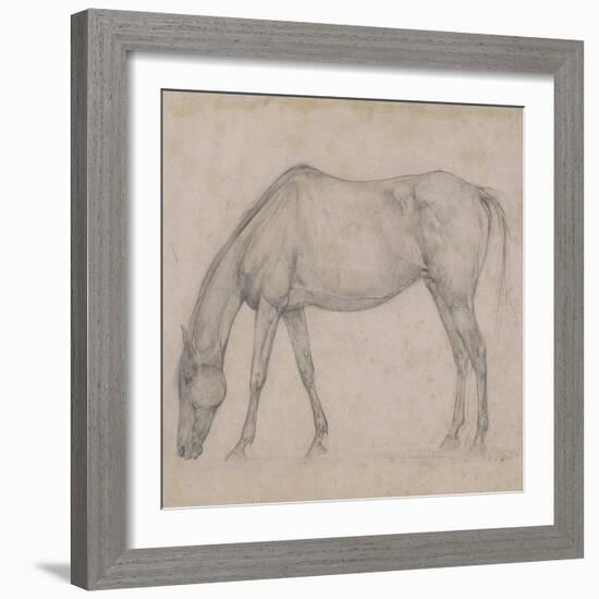 Etude de cheval-Edgar Degas-Framed Giclee Print