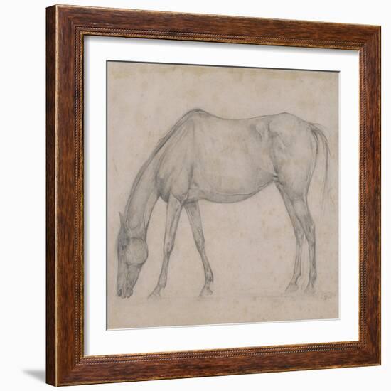 Etude de cheval-Edgar Degas-Framed Giclee Print