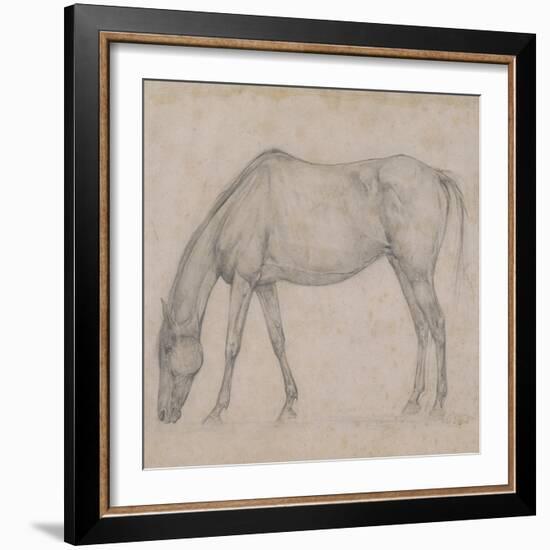 Etude de cheval-Edgar Degas-Framed Giclee Print