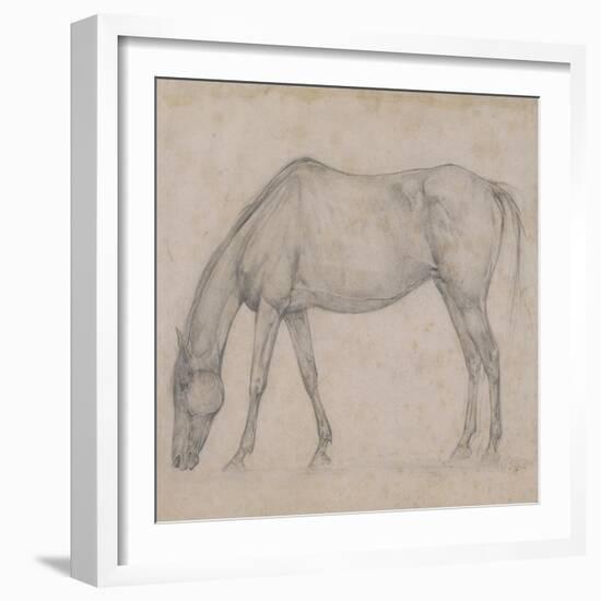 Etude de cheval-Edgar Degas-Framed Giclee Print