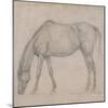 Etude de cheval-Edgar Degas-Mounted Giclee Print