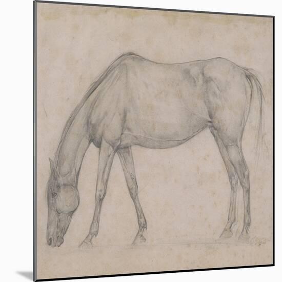 Etude de cheval-Edgar Degas-Mounted Giclee Print