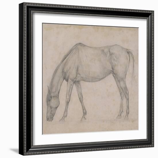 Etude de cheval-Edgar Degas-Framed Giclee Print