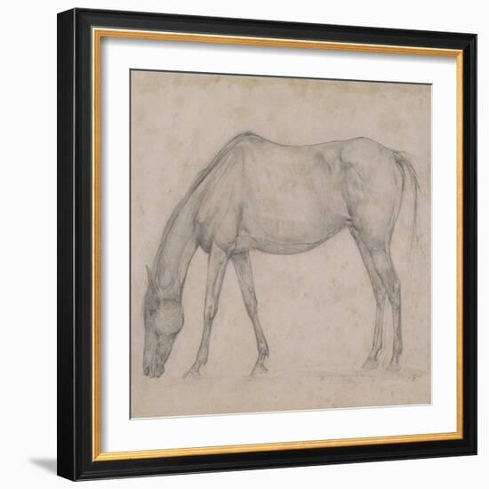 Etude de cheval-Edgar Degas-Framed Giclee Print