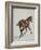 Etude de cheval-Adrien Emmanuel Marie-Framed Giclee Print
