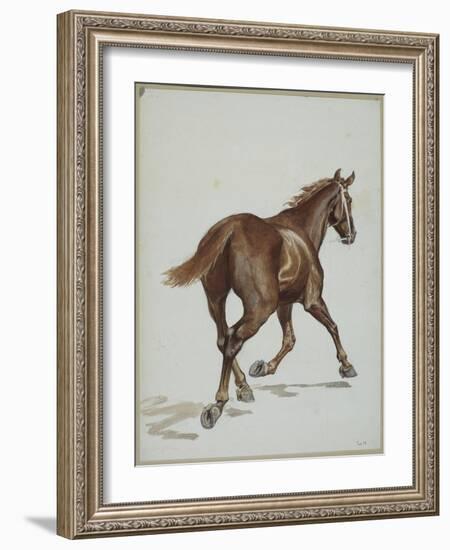 Etude de cheval-Adrien Emmanuel Marie-Framed Giclee Print