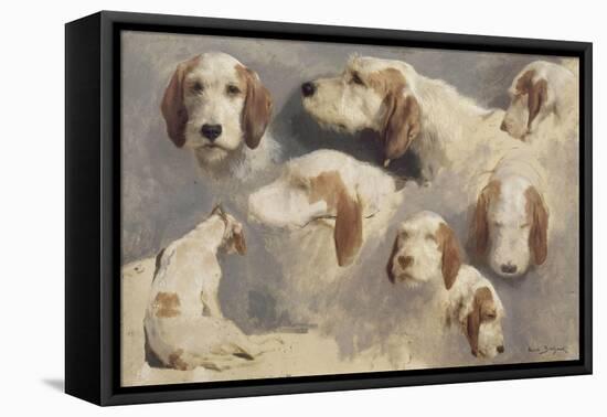 Etude de chien de chasse ; 8 esquisses-Rosa Bonheur-Framed Premier Image Canvas