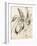 Etude de cygne pour Léda-Gustave Moreau-Framed Giclee Print