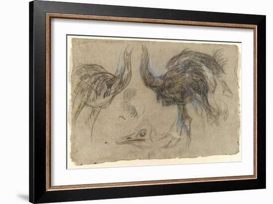 Etude de deux autruches debout et d'une tête-Pieter Boel-Framed Giclee Print