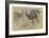 Etude de deux autruches debout et d'une tête-Pieter Boel-Framed Giclee Print