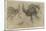 Etude de deux autruches debout et d'une tête-Pieter Boel-Mounted Giclee Print
