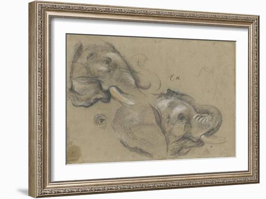 Etude de deux têtes d'éléphants tournées vers la droite, et étude d'oeil-Pieter Boel-Framed Giclee Print