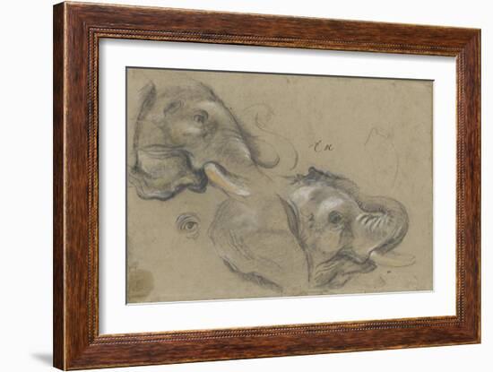 Etude de deux têtes d'éléphants tournées vers la droite, et étude d'oeil-Pieter Boel-Framed Giclee Print