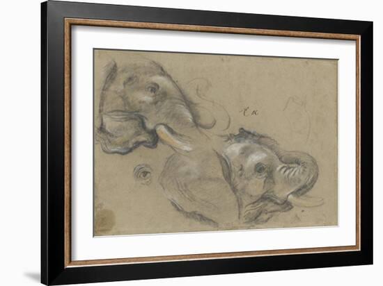 Etude de deux têtes d'éléphants tournées vers la droite, et étude d'oeil-Pieter Boel-Framed Giclee Print