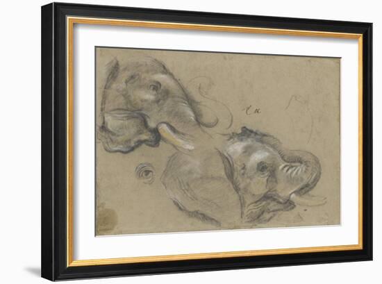 Etude de deux têtes d'éléphants tournées vers la droite, et étude d'oeil-Pieter Boel-Framed Giclee Print