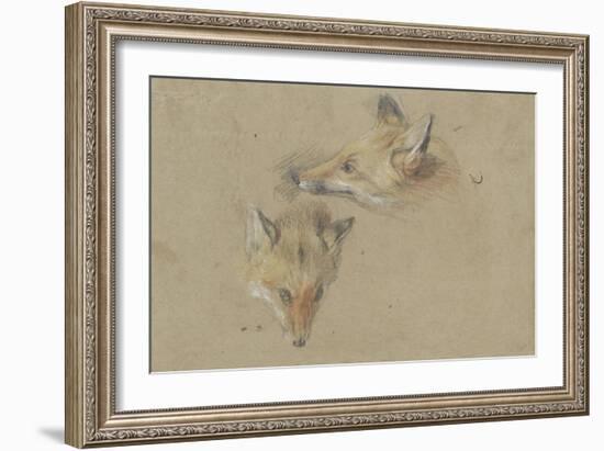 Etude de deux têtes de renards-Pieter Boel-Framed Giclee Print