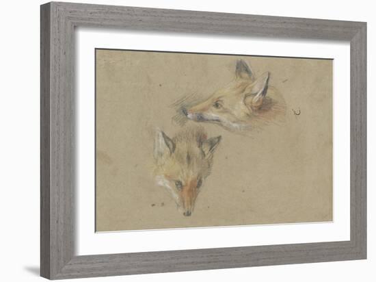 Etude de deux têtes de renards-Pieter Boel-Framed Giclee Print