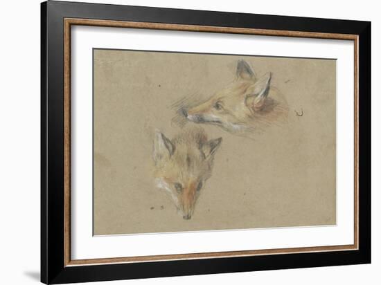 Etude de deux têtes de renards-Pieter Boel-Framed Giclee Print